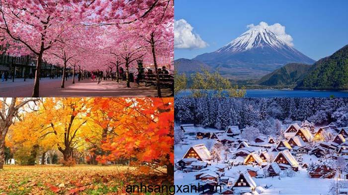 Cac Chuoi Cua Hang Dong Ho Uy Tin O Fukushima Cac Thuong Hieu Uy Tin