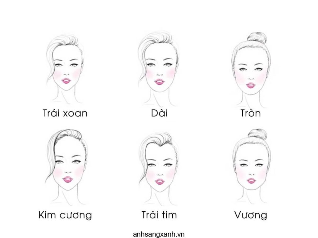 6 Mau Trong Kinh Doi Mau Hoya V Idol Nen Dung Danh Gia Chung